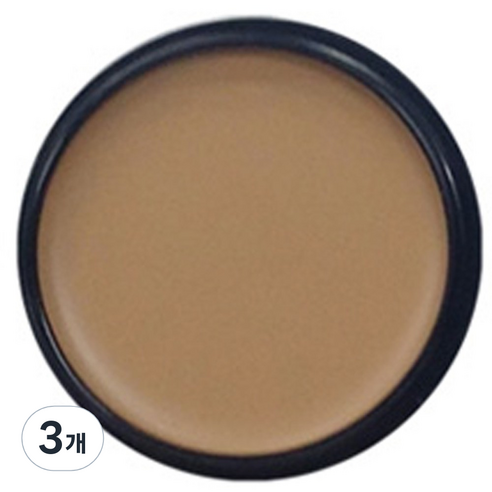 애리조 카마플레이지 크림 13g, No2 크림베이지, 3개