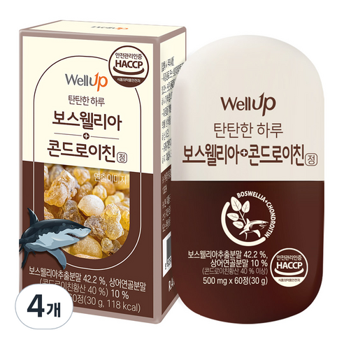 웰업 보스웰리아 상어연골 콘드로이친정, 60정, 4개