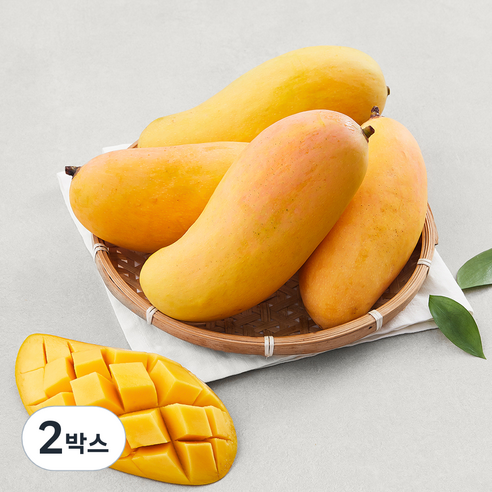 이웃마을 태국 마하차녹 망고, 1.9kg(5~6입), 2박스