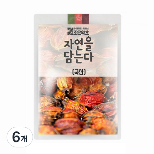 조은약초 치자, 200g, 6개