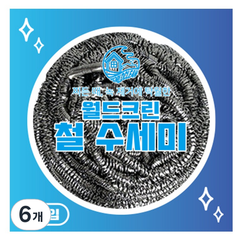 월드크린 철 수세미 40g, 1개입, 6개