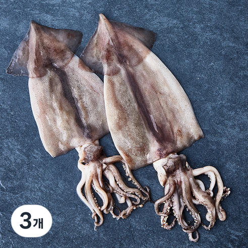 부산 13번 중매인 산지직송 해동 손질 오징어 (냉장), 240g, 3개