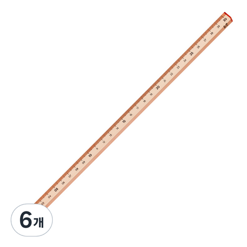 롭다 아크릴스틱자 30cm, Soil Pink, 6개