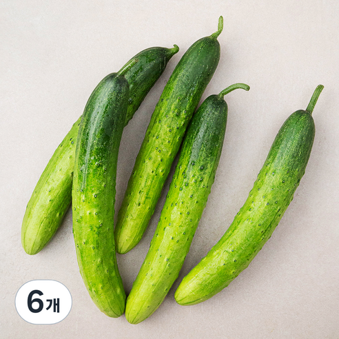 국내산 친환경 오이, 5개입, 6개