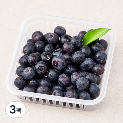 딜리조이 친환경 제주 블루베리, 200g, 3팩
