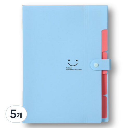 아스터 5칸 아코디언 파일 정리함 바인더, 블루, 5개