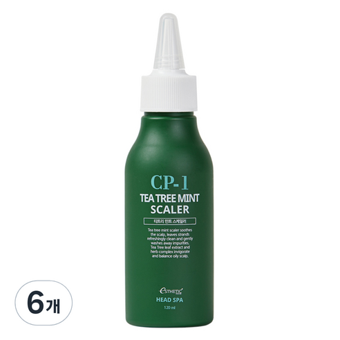 씨피원 헤드 스파 티트리 민트 스케일러, 6개, 120ml