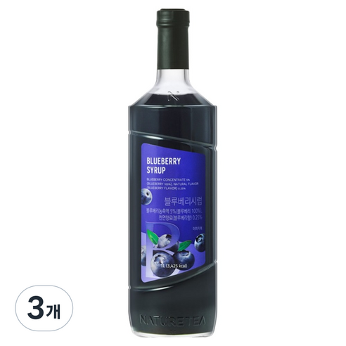 네이쳐티 블루베리시럽, 3개, 1L