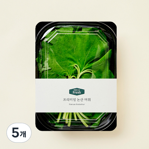 프리미엄 논산 머위, 200g, 5개