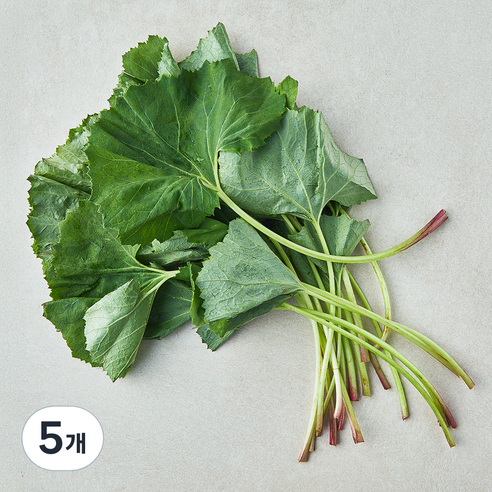 남해 머위, 80g, 5개
