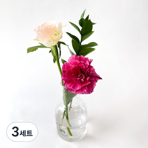 포켓플라워 생화 테이블 플라워 세트, 핑크, 3세트