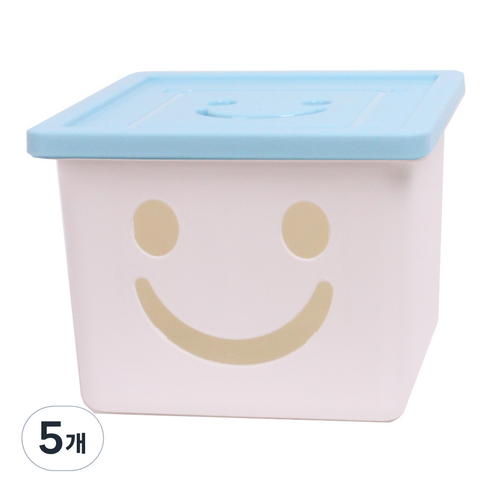 보노하우스 미니해피박스, 블루, 5개