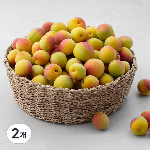 산지직송 청년농부 하동 황매실 L, 5kg, 2개