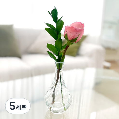 포켓플라워 생화 장미 한송이 세트, 핑크, 5세트