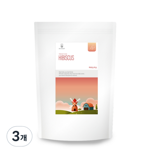 닥터루트 히비스커스차 삼각티백, 1.2g, 100개입, 3개