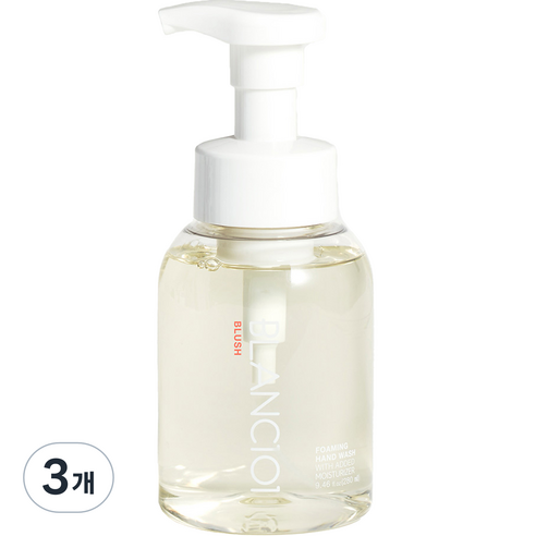 블랑101 핸드워시 블러쉬, 280ml, 3개