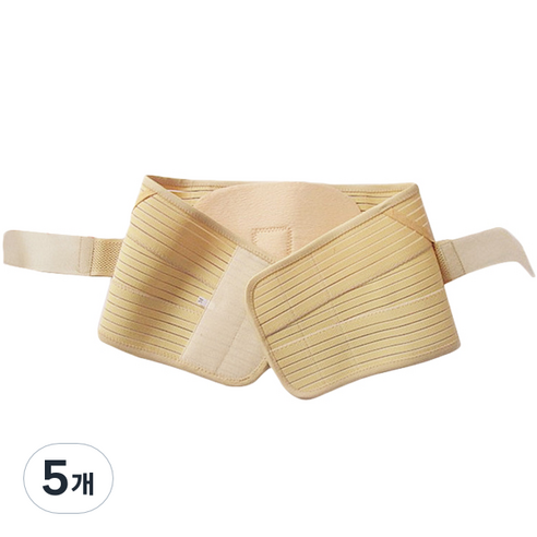 라이프플러스 허리보호대 DD-066 S, 5개