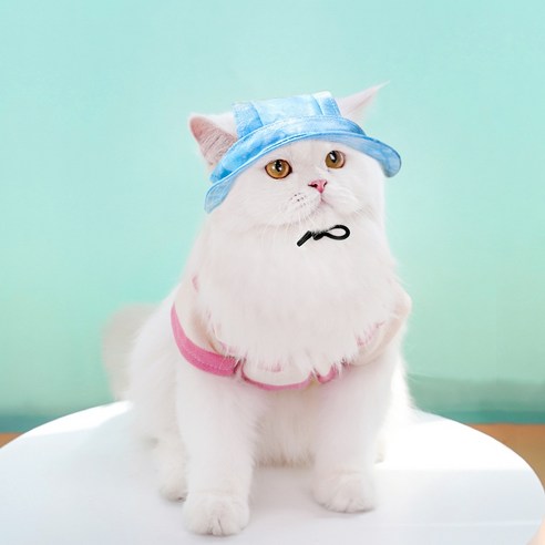 순잠 반려동물 벙거지 햇빛가리개 모자, 블루, 1개