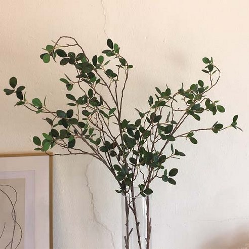 시들 걱정 없는 싱그러움, 자포니카 조화가지로 완성하는 나만의 공간 조화나무