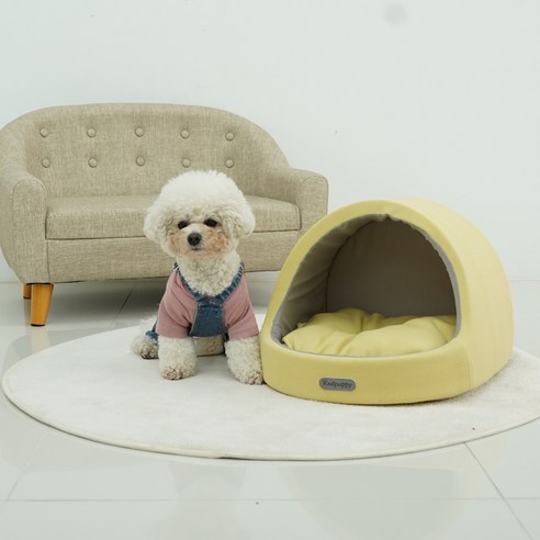 레드퍼피 반려동물 플로리아하우스, YELLOW