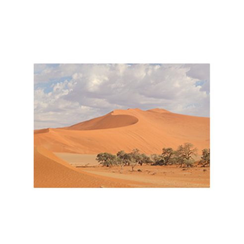 진심디자인 감성 아트웍 디자인캔버스 네츄럴 포토라인 A-18 사막 가운데에서, 화이트