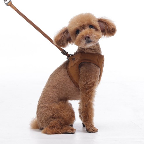 펫줄앤코 반려동물 이지 클립 하네스 X형 가슴줄, 1개, 브라운