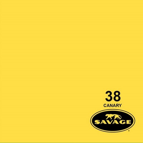 세비지 종이 롤 배경지 HALF, 38-1253(38 Canary), 1개