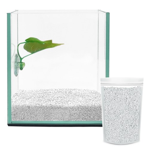 아쿠아테라 베타 유리어항 + 베타침대 + 컬러스톤 1kg CH-G150, 화이트(컬러스톤), 1개