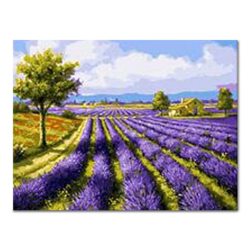 아디코 DIY 페인팅 라벤다 팜 PH50 50 x 40 cm, 혼합색상, 1개