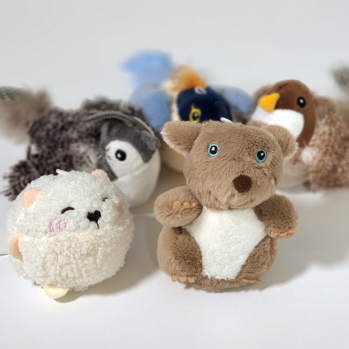 伴侶  寵物用品  貓  用品  玩具  寵物貓  貓  貓  小貓  小貓