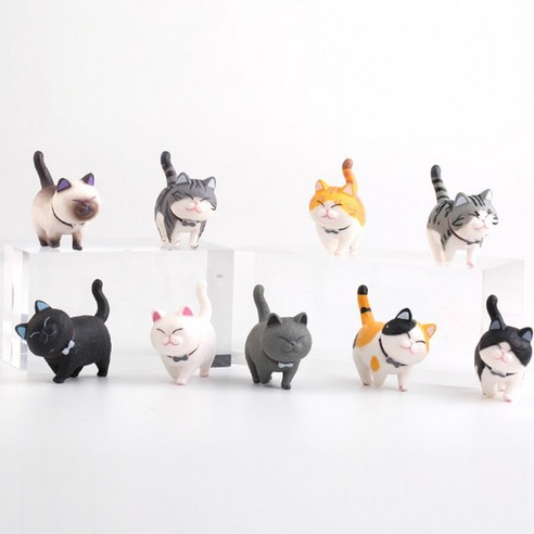 사랑스러운 꼬냥이들과 함께하는 행복한 일상