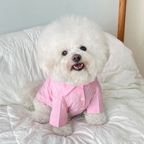 바이담수미 강아지 캔디 코튼 셔츠, 핑크