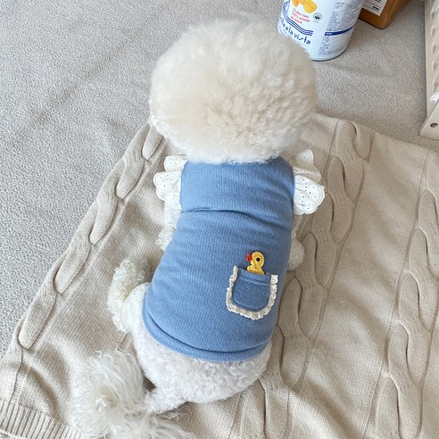 바이담수미 강아지 삐약이 프릴 티셔츠, 블루