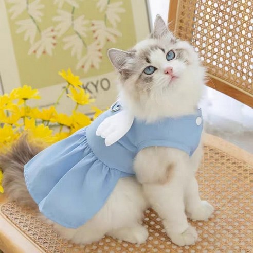 伴侶  寵物用品  小狗  貓  聯合使用  服裝  狗  狗  狗  狗