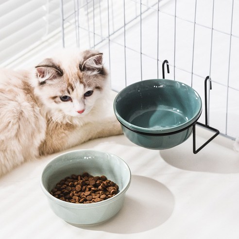 伴侶  寵物用品  小狗  貓  聯合使用  餐具  狗  狗  狗  狗