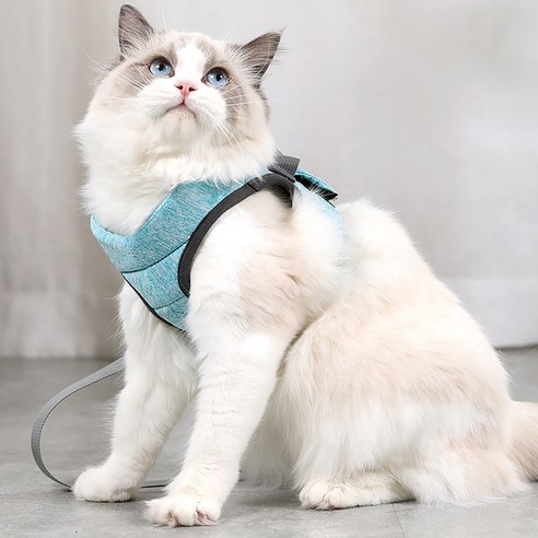 심플리앤 고양이 하네스 S, 민트, 1세트