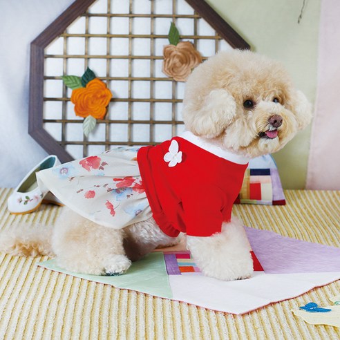 에이미러브즈펫 강아지 청담한복 여아, 레드