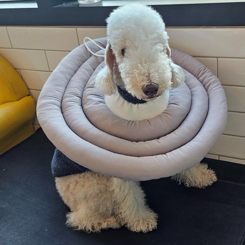 MAAH 강아지 넥카라 대형, 1개, 라이트그레이