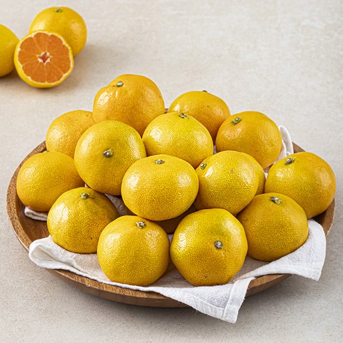 AI가 선별한 달콤한 행복, 해풍맞은 올레길 감귤