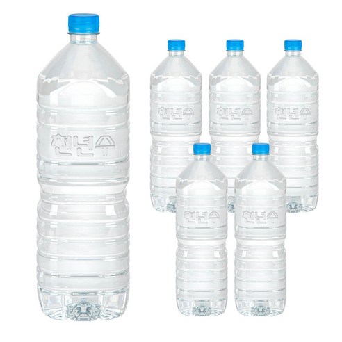 천년수 무라벨 생수, 2L, 6개
