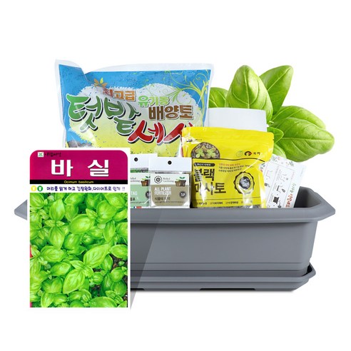 바이오필리아 채소 텃밭세트 + 식물 이름표 랜덤발송, 바실 허브