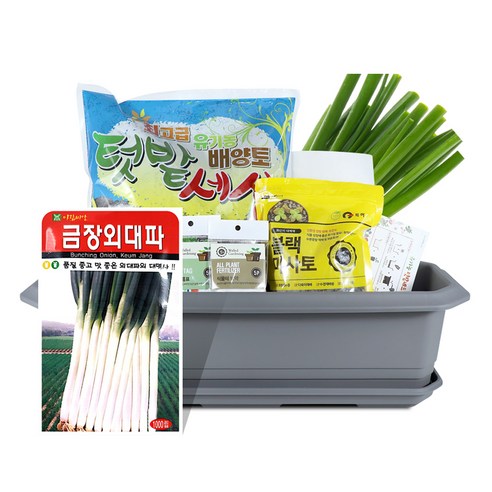 바이오필리아 채소 텃밭세트 + 식물 이름표 랜덤발송, 대파