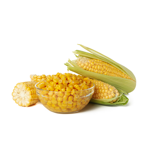 상상시즈닝 콘소메 시즈닝으로 펼쳐지는 미식의 향연