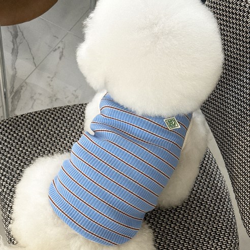 쥬비코 강아지 파스칼 티셔츠, 1개, 블루