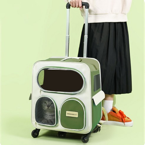 딩동펫 반려동물 미요 메쉬 백팩 이동가방 캐리어 세트, 그린, 1세트