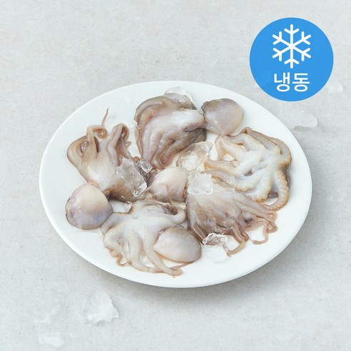 [로켓프레시] 비비수산 살아있을때 얼린 주꾸미 (냉동)
