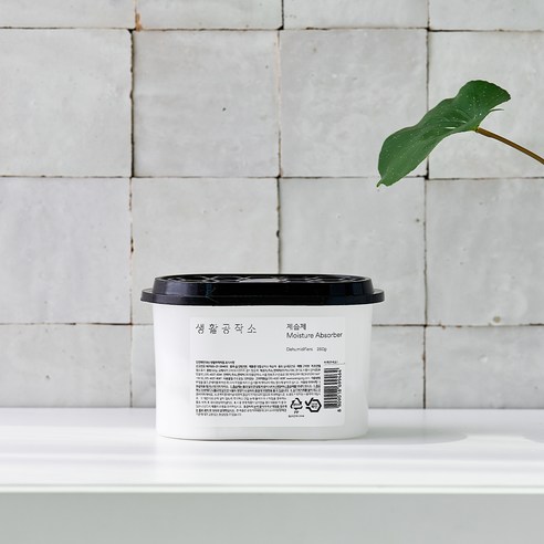 습기 없는 쾌적한 삶을 위한 선택