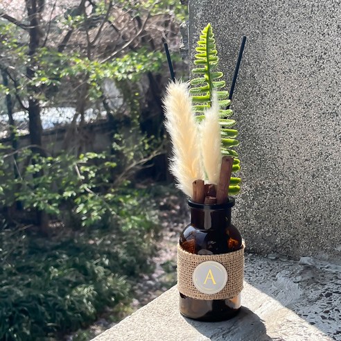 아스파시아 미모사 시나몬 플라워 디퓨저 미니팜파스 베이지 100ml 세트, 2세트, 린넨 라일락