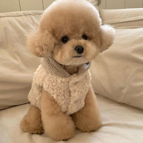 레드퍼피 강아지 유니 뽀글이 후드 조끼 아우터, 베이지, 1개