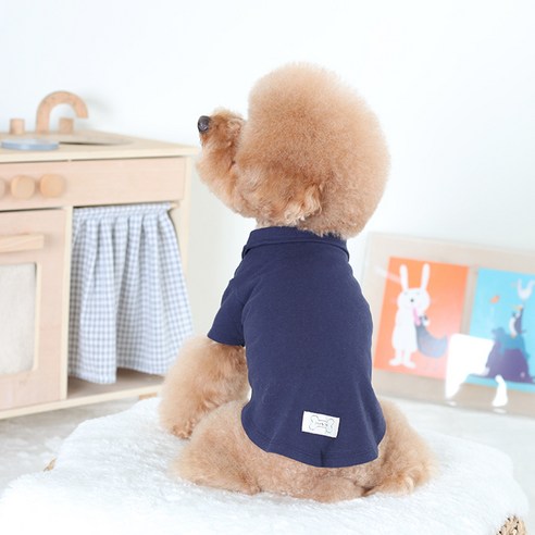 伴侶  寵物產品  小狗  貓  組合使用  服裝  T卹  狗  狗  狗